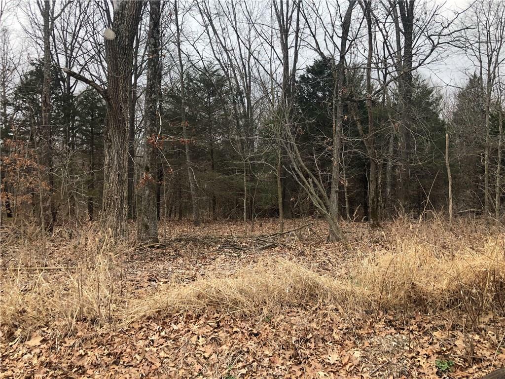 Property Photo: -- Sherlock Drive AR 72715