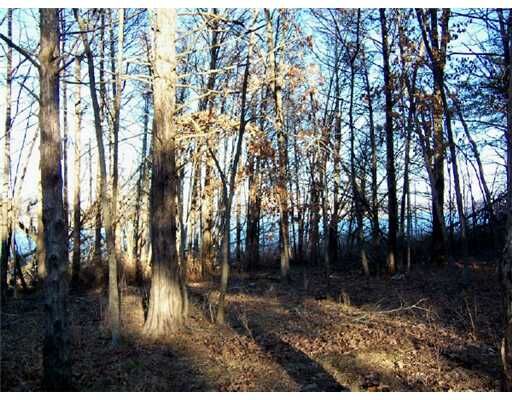 Property Photo: 0 Bruner Lane AR 72756