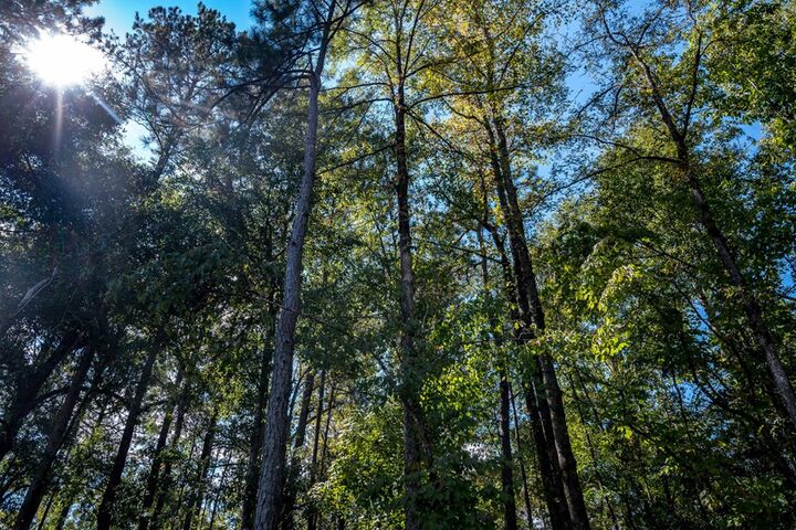 Property Photo:  8809 Creekrise Drive  GA 31904