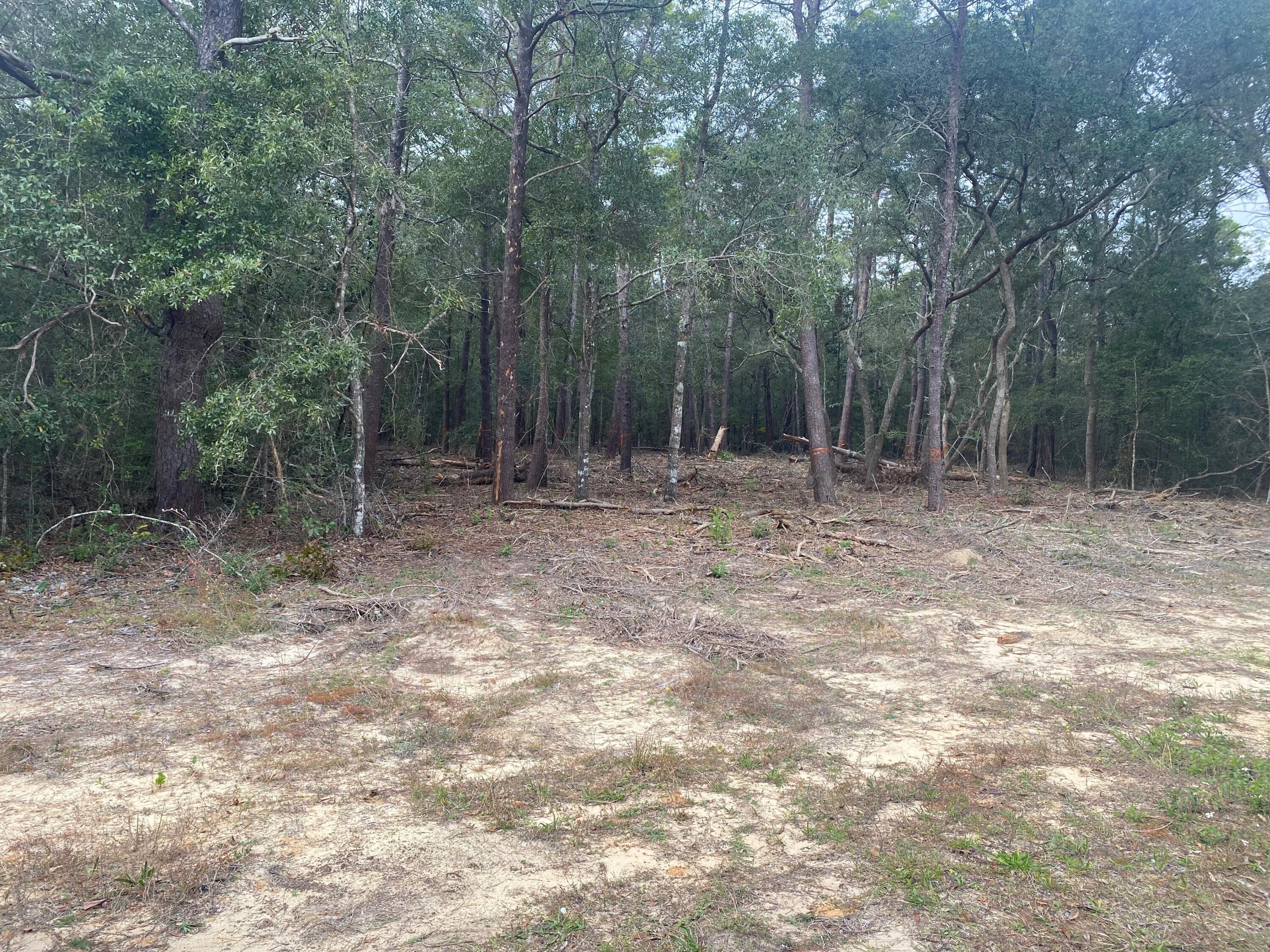 Property Photo: 311 E Roberts Road FL 32433