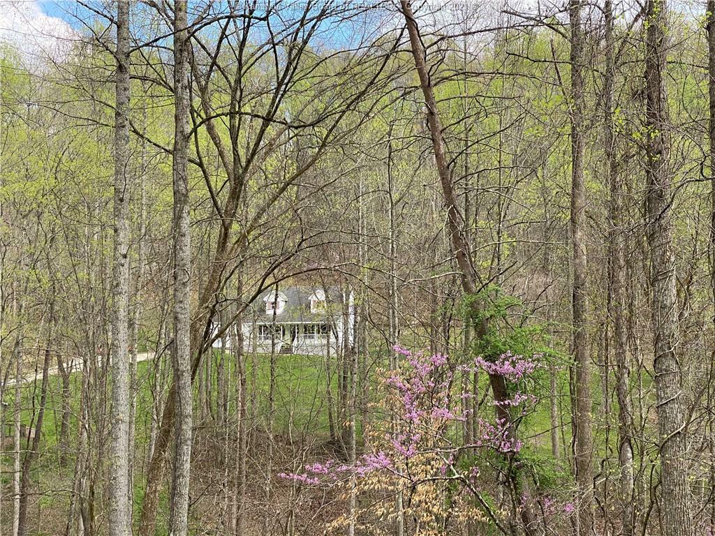Property Photo: 3467 Sams Fork Road WV 25526