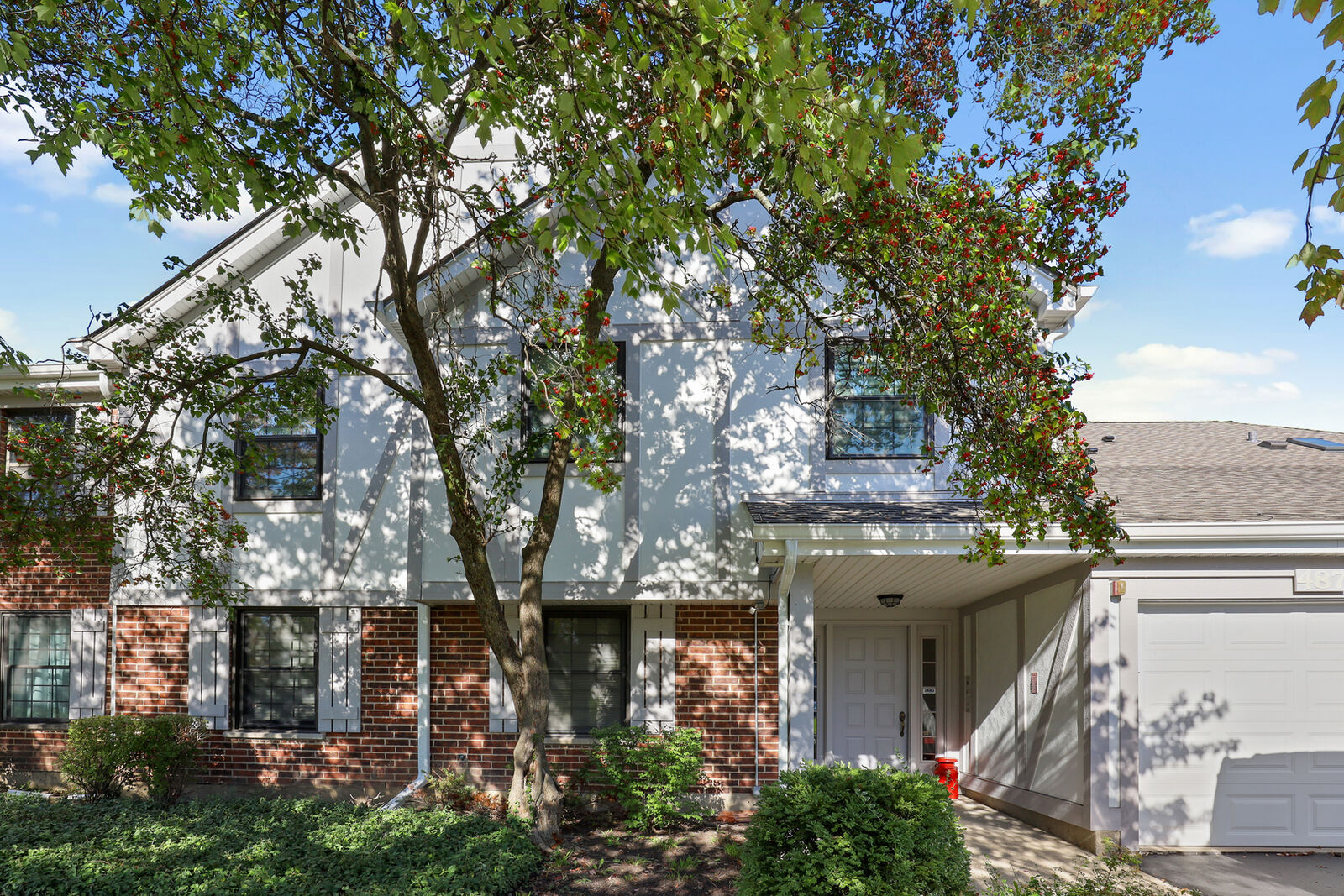 Property Photo: 481 Elizabeth Drive 36 IL 60191