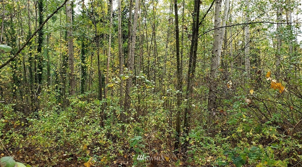 Property Photo: 0 14th St. WA 98230
