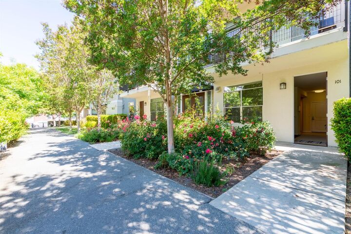 1057 Saginaw Terrace 101  Sunnyvale CA 94089 photo