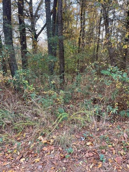 Property Photo: 2517 Hill Circle NE GA 30012