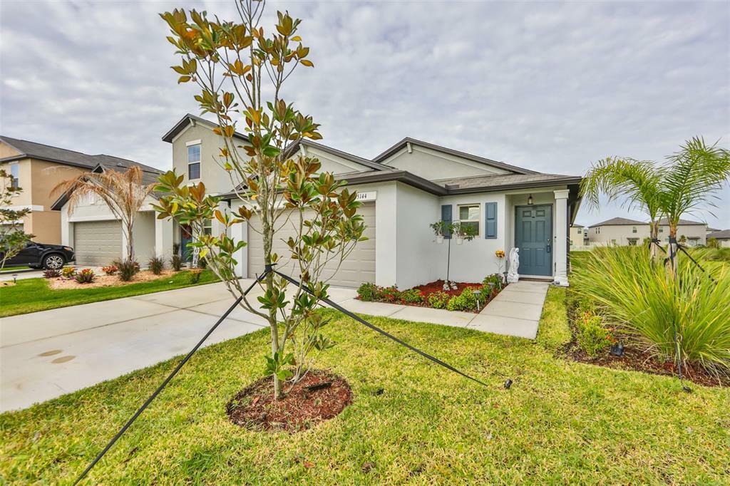 Property Photo:  5144 White Chicory Drive  FL 33572 