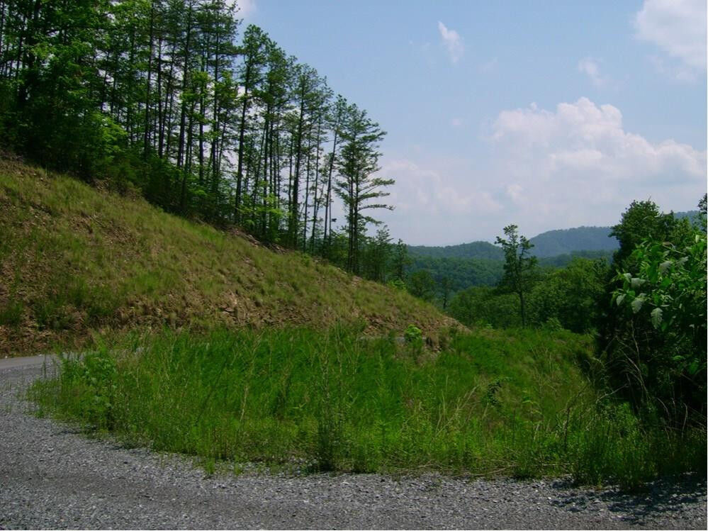 Property Photo: Lot 102E Deerskin Road TN 37862