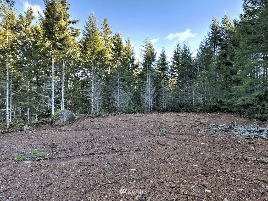 Property Photo:  256 Xx NE North Shore Road  WA 98588 