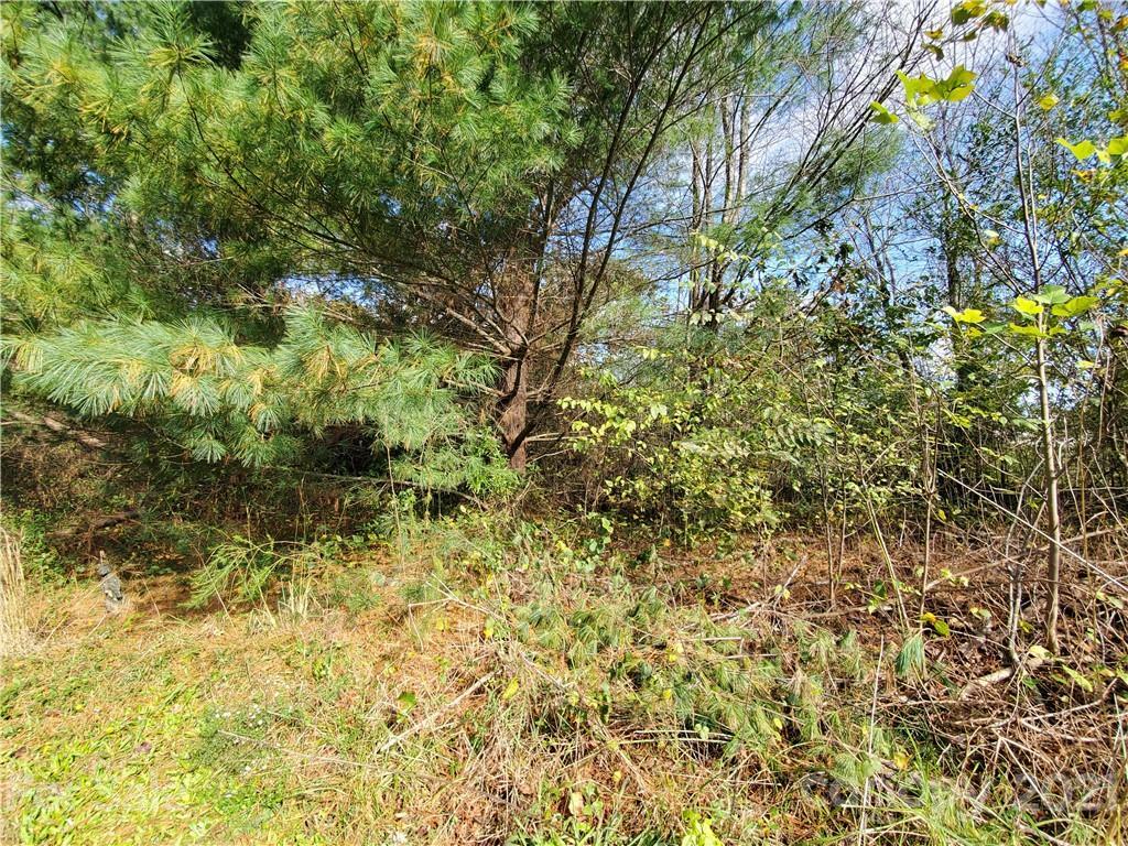 Property Photo:  1050 Oakdale Court  NC 28023 