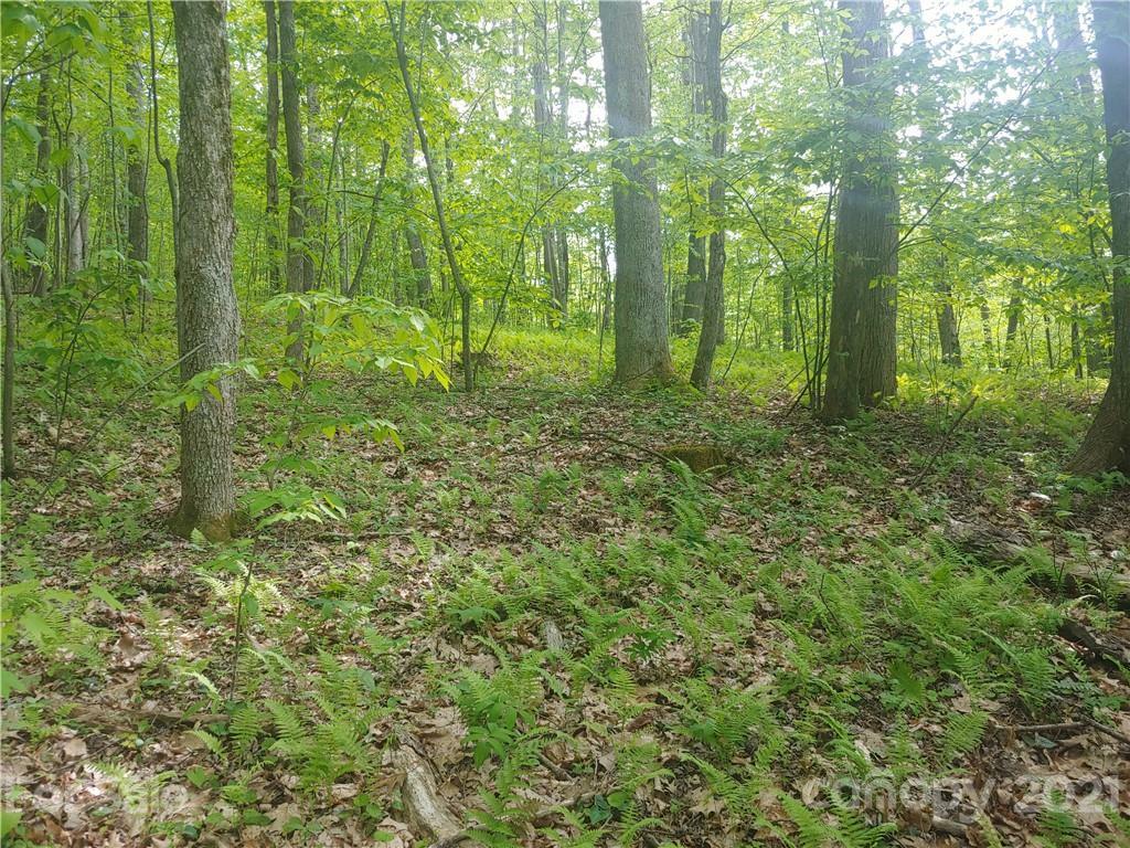 31 Sleigh Bell Trail Lot 31  Maggie Valley NC 28751 photo