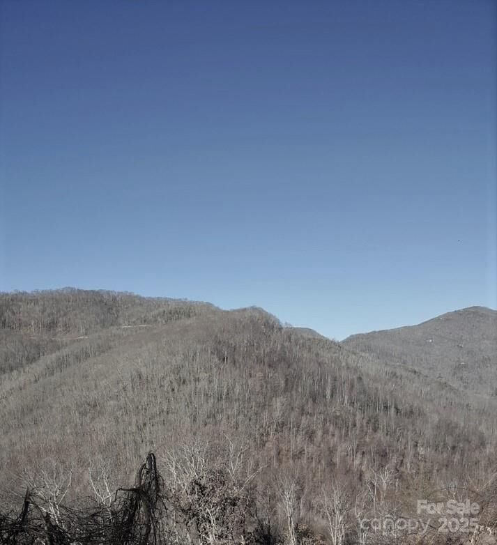 Property Photo:  0 Soco Road  NC 28751 