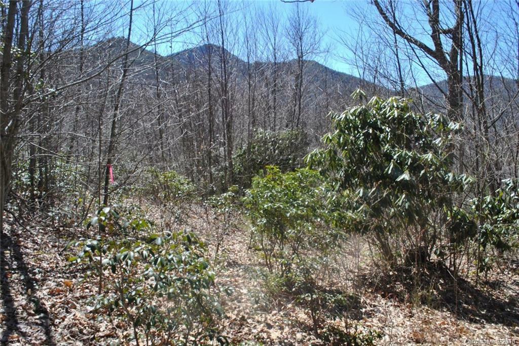 Property Photo:  00 Chickadee Lane  NC 28751 