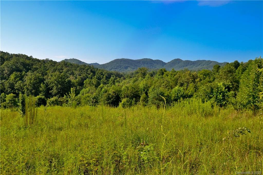 Property Photo:  000 Rockhouse Road  NC 28752 