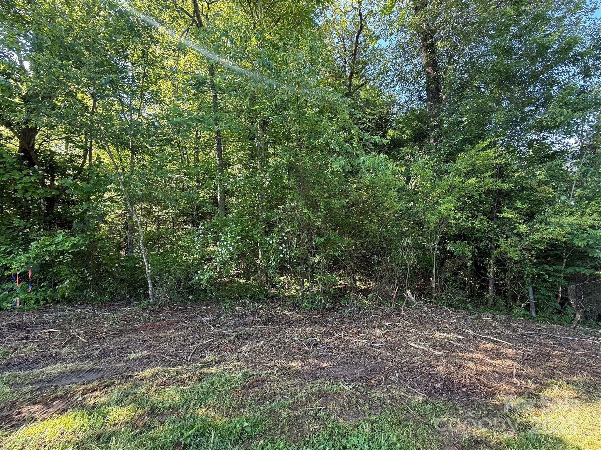 Property Photo: Lot 52 Wittenburg Springs Drive 052 NC 28681