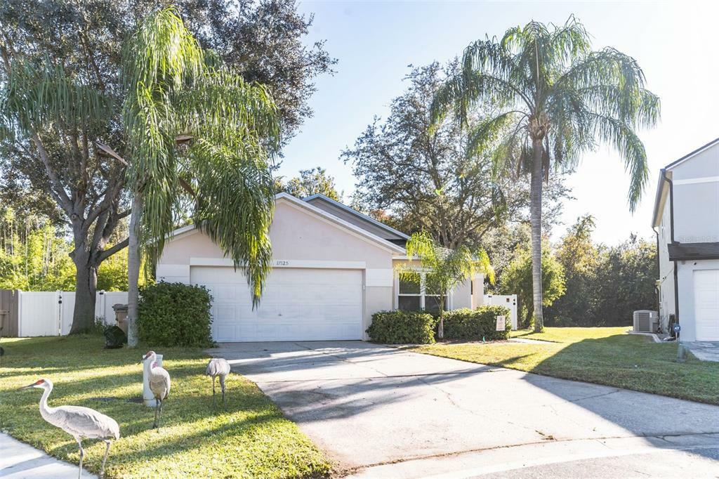 Property Photo: 17125 Cypresswood Way FL 34714