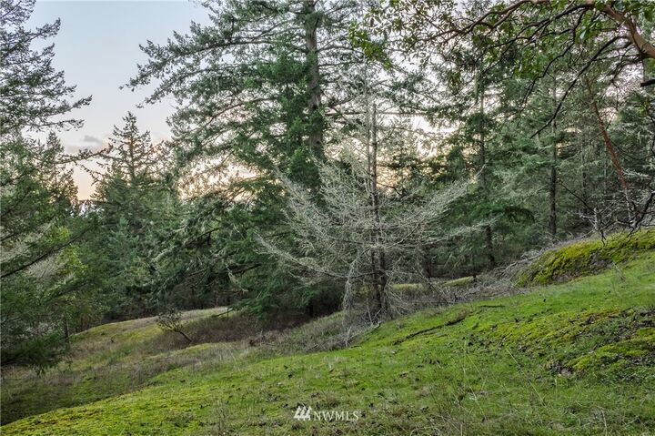 1 Parcel H Sandwith Road  Friday Harbor WA 98250 photo