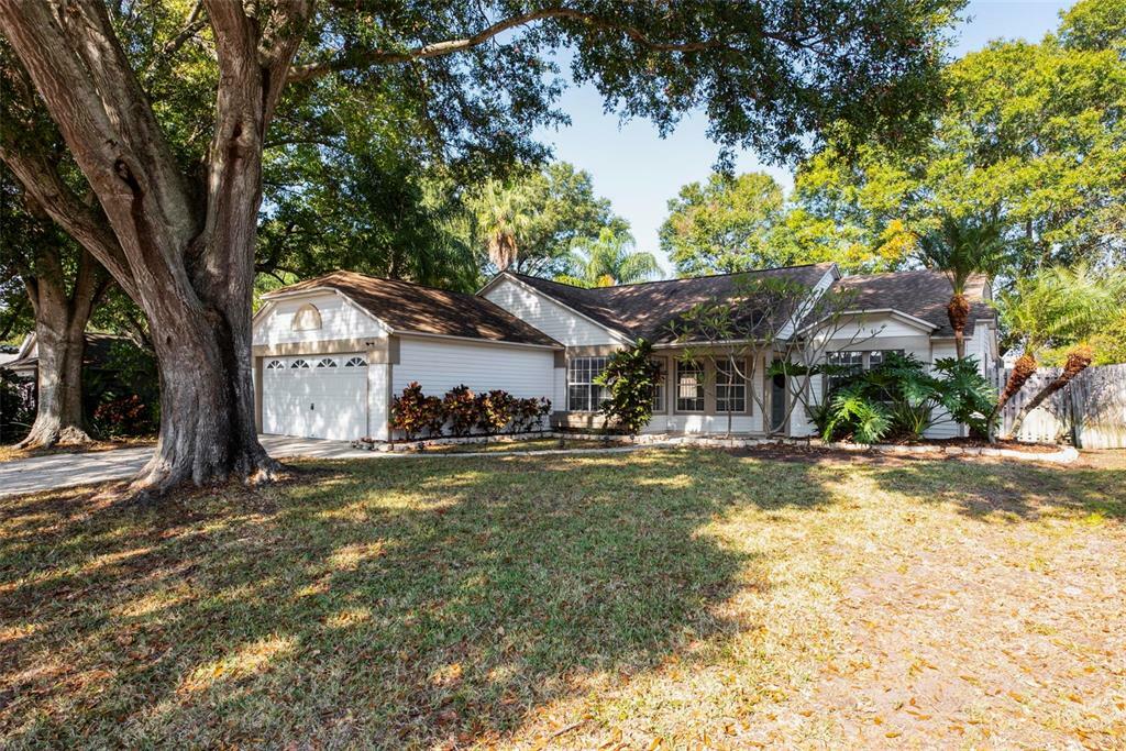 Property Photo:  2921 Penridge Drive  FL 34684 