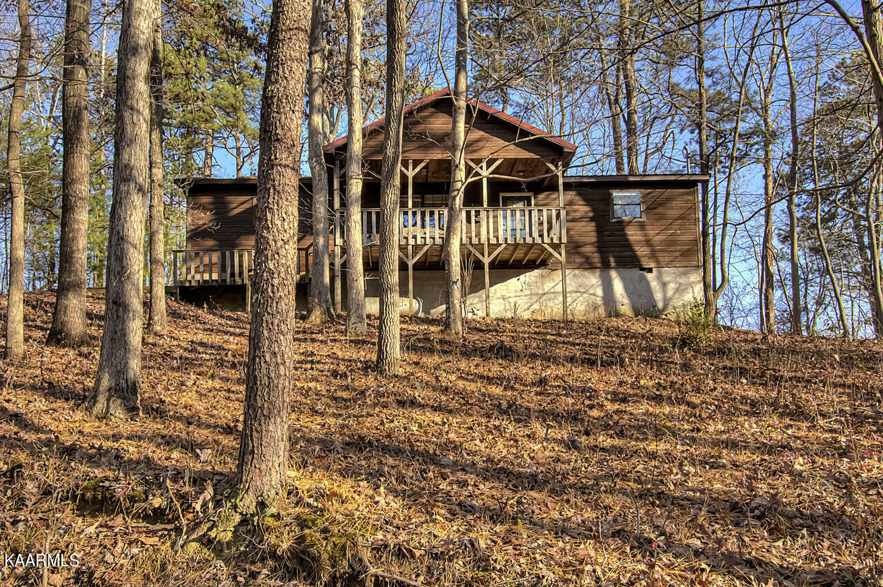 Property Photo: 426 Hickory Tree Hollow Rd TN 37876