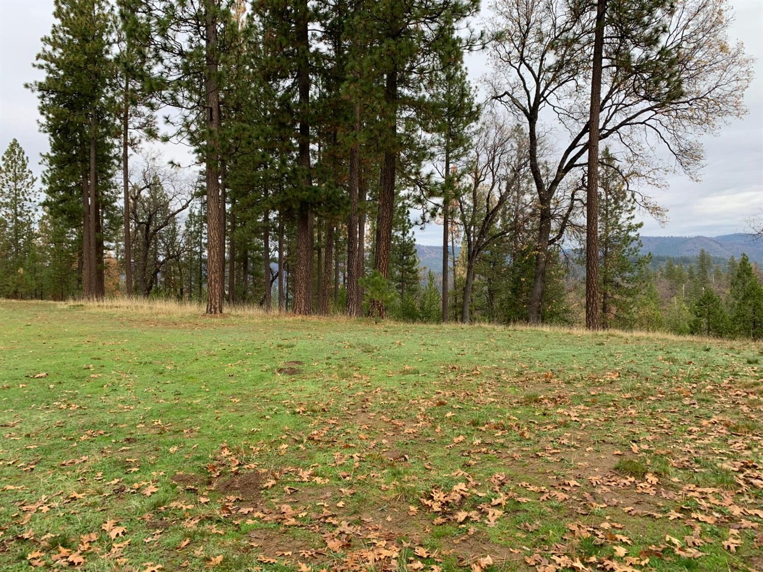 Property Photo:  5 Acres Old Schoolhouse Road Tract 1  CA 95684 