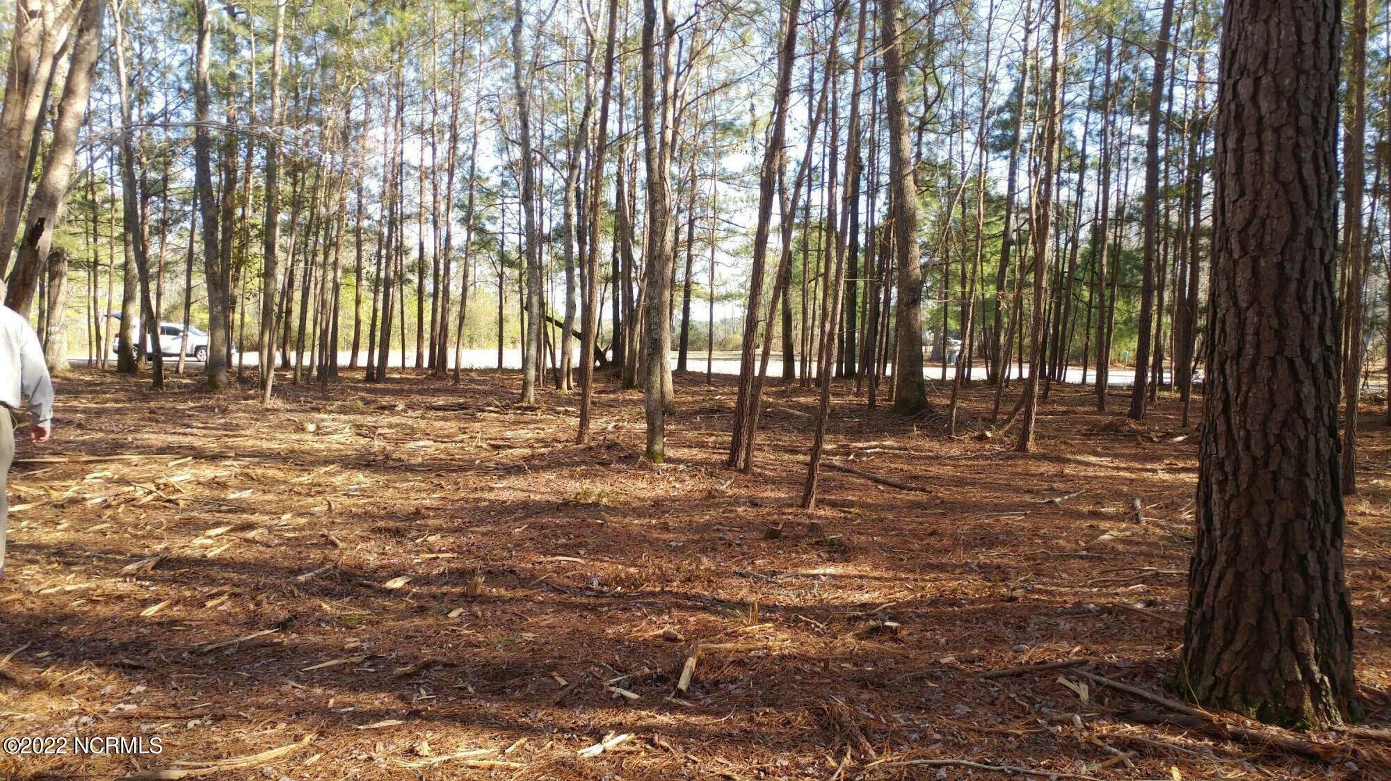Property Photo:  45 Sunset Point Road  NC 27810 