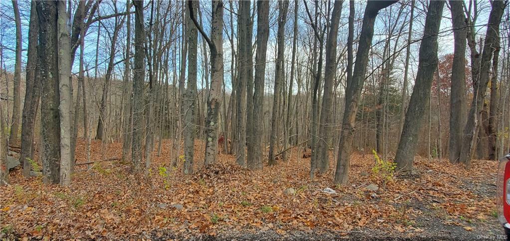 Property Photo:  156 Huckleberry Turnpike  NY 12589 