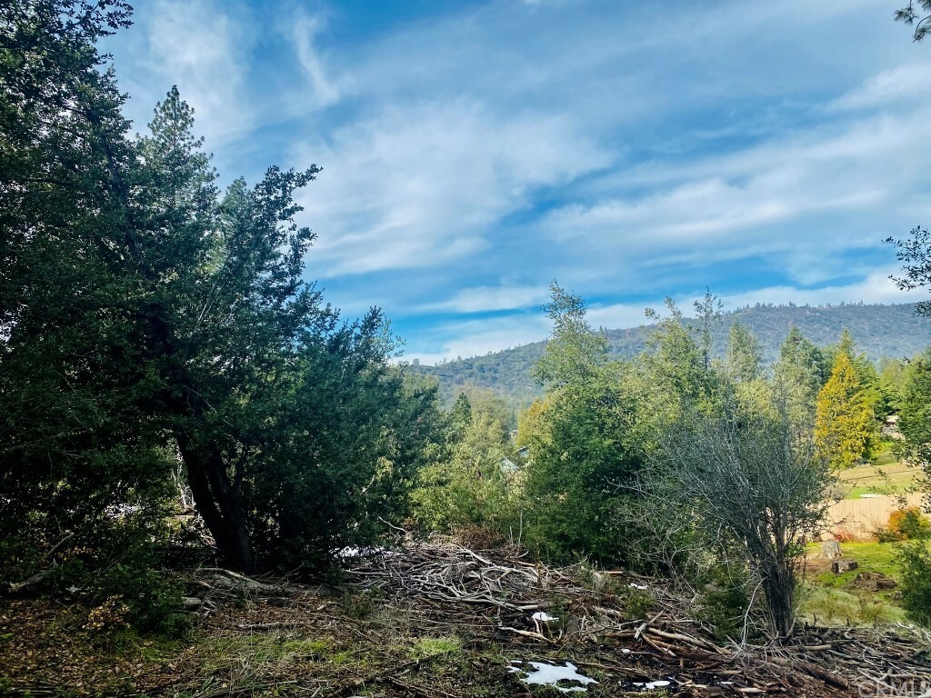 Property Photo:  2349 Shoshone Road  CA 95338 