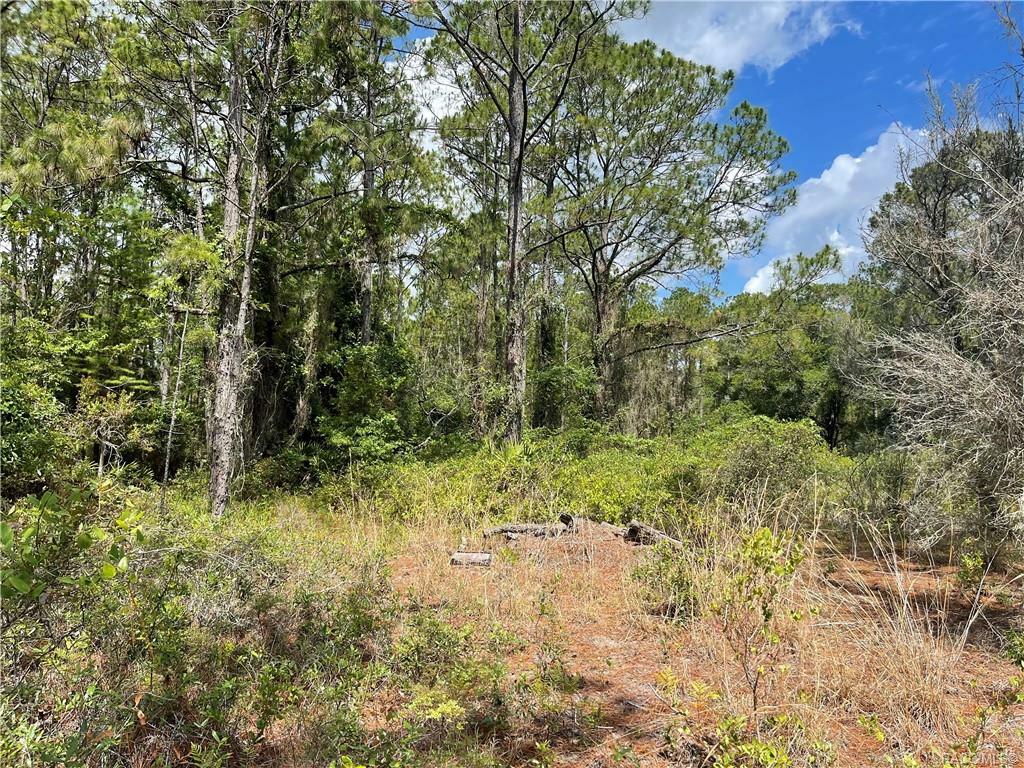 Property Photo:  9352 N Black Oak Way  FL 34428 