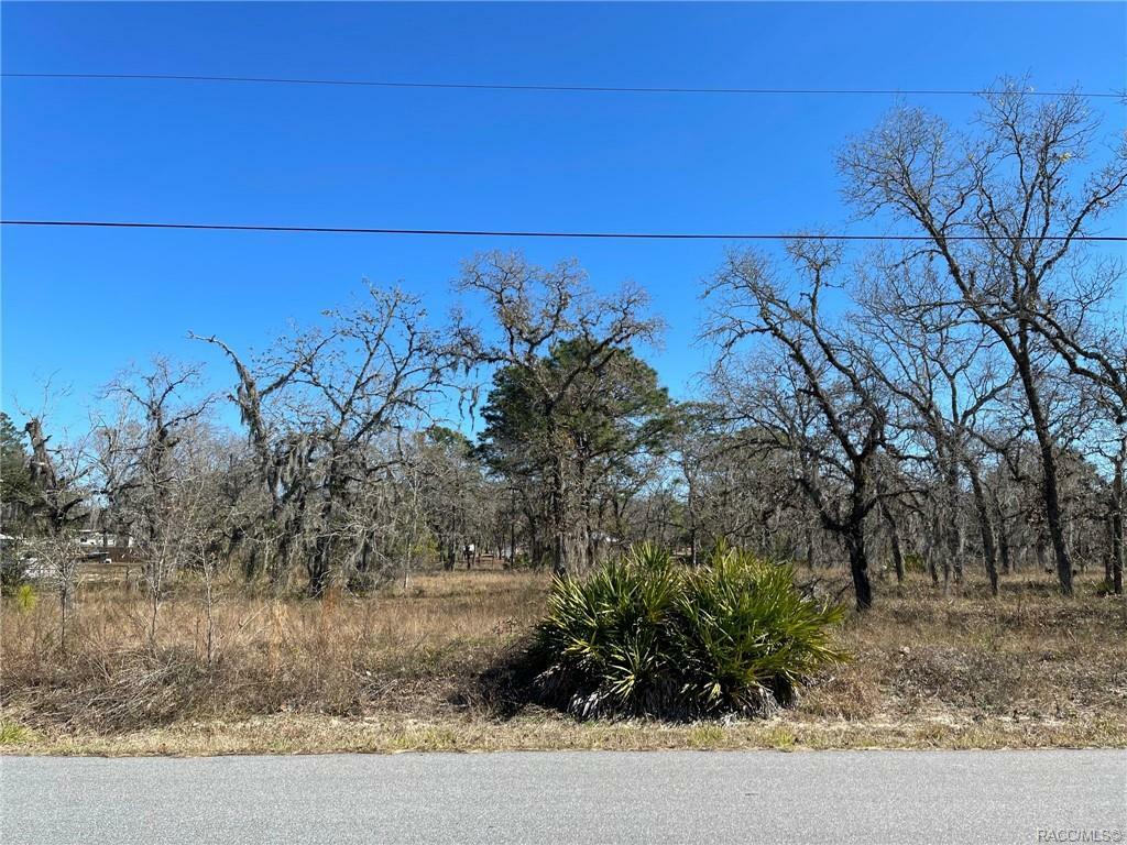 Property Photo:  7197 S Threshold Point  FL 34446 