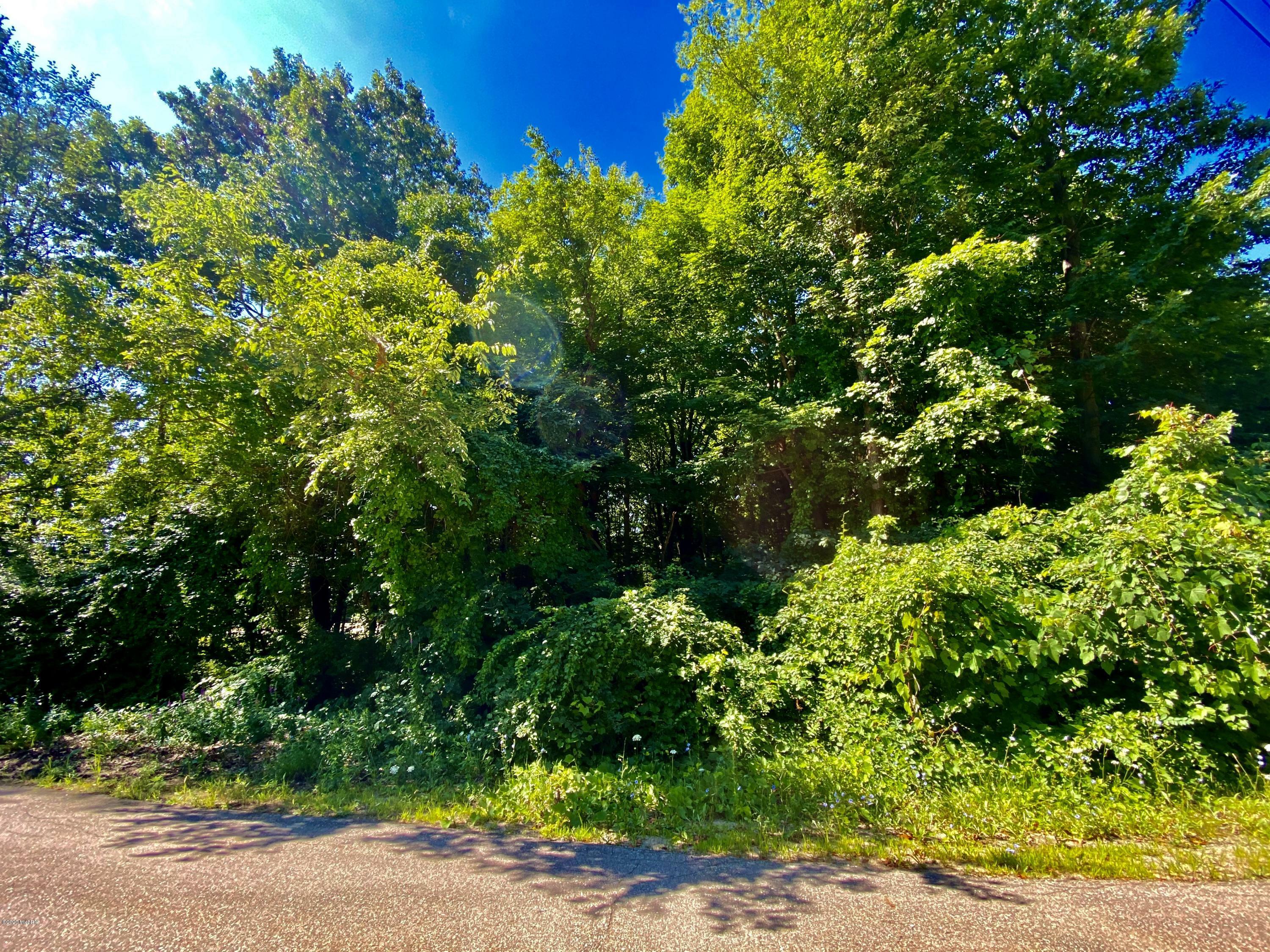 Property Photo:  V/L 134th Avenue  MI 49453 