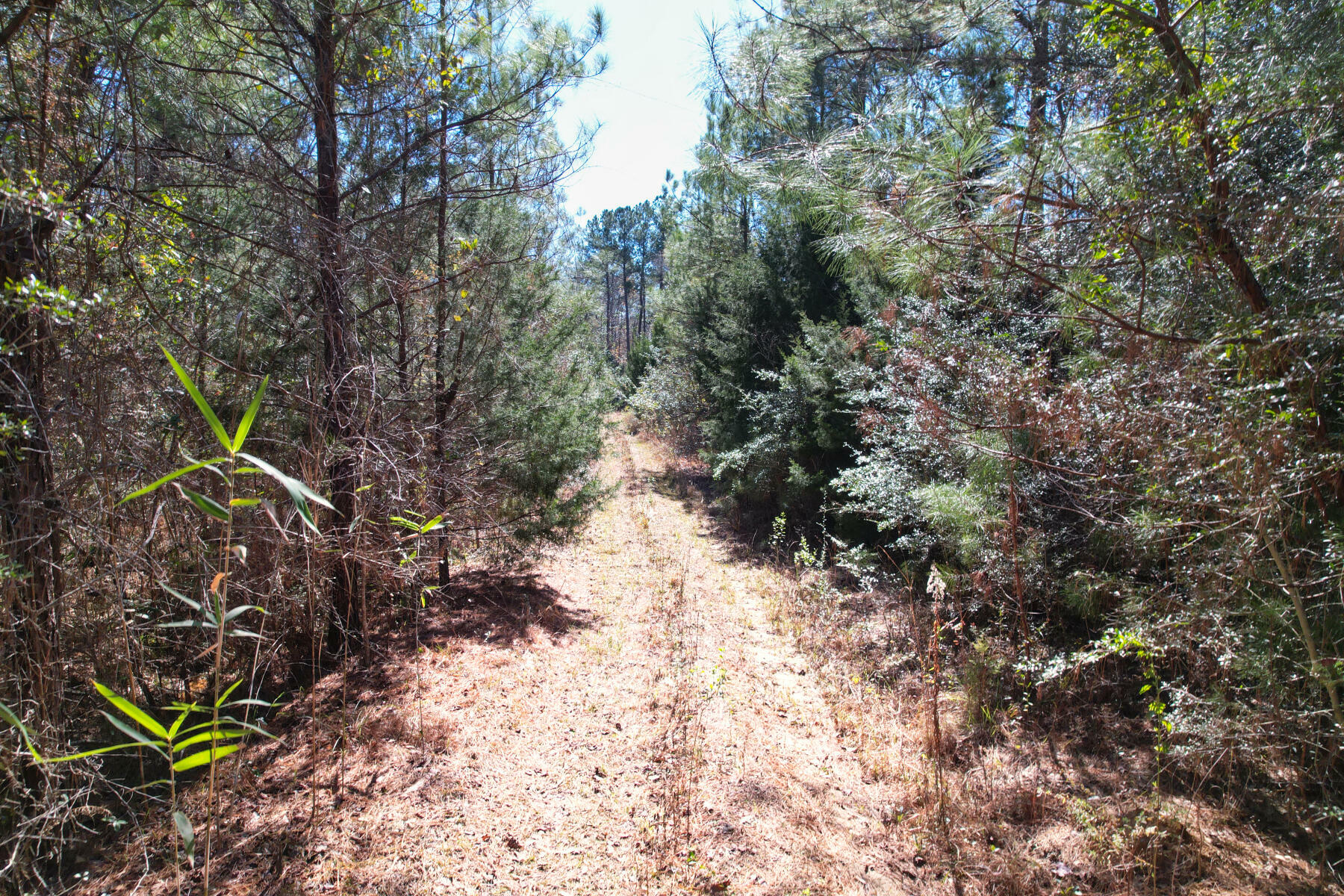 Property Photo:  000 Mountain Valley Road  FL 32435 