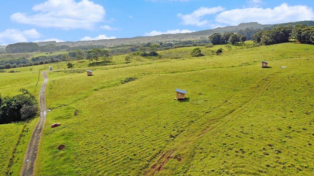 Property Photo:  Kaiwiki Homestead Rd  HI 96710 