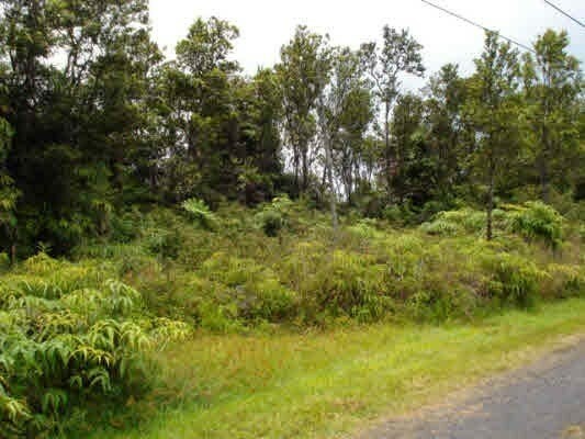 Property Photo:  11-3220 Laupaka Rd  HI 96785 