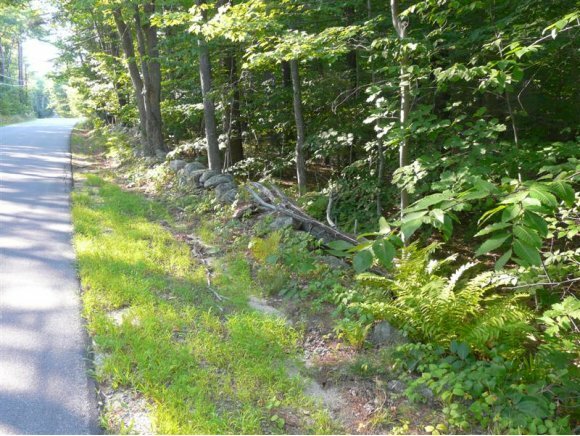 Property Photo:  Ballards Ridge Rd.  NH 03830 