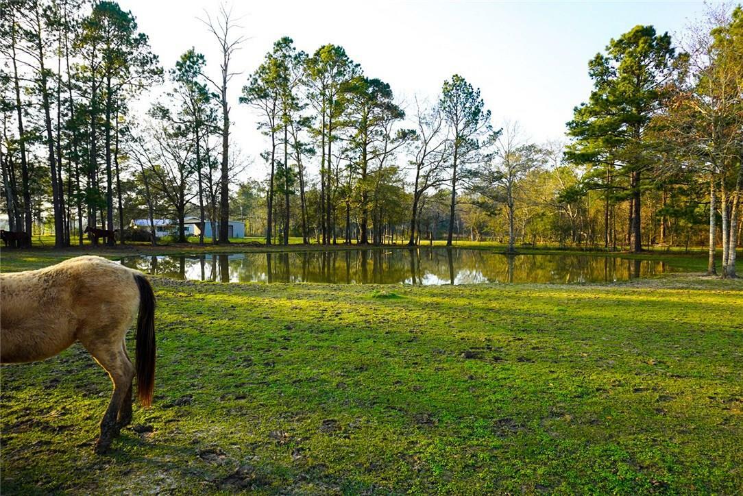 Property Photo:  449 Royer Loop  LA 70663 