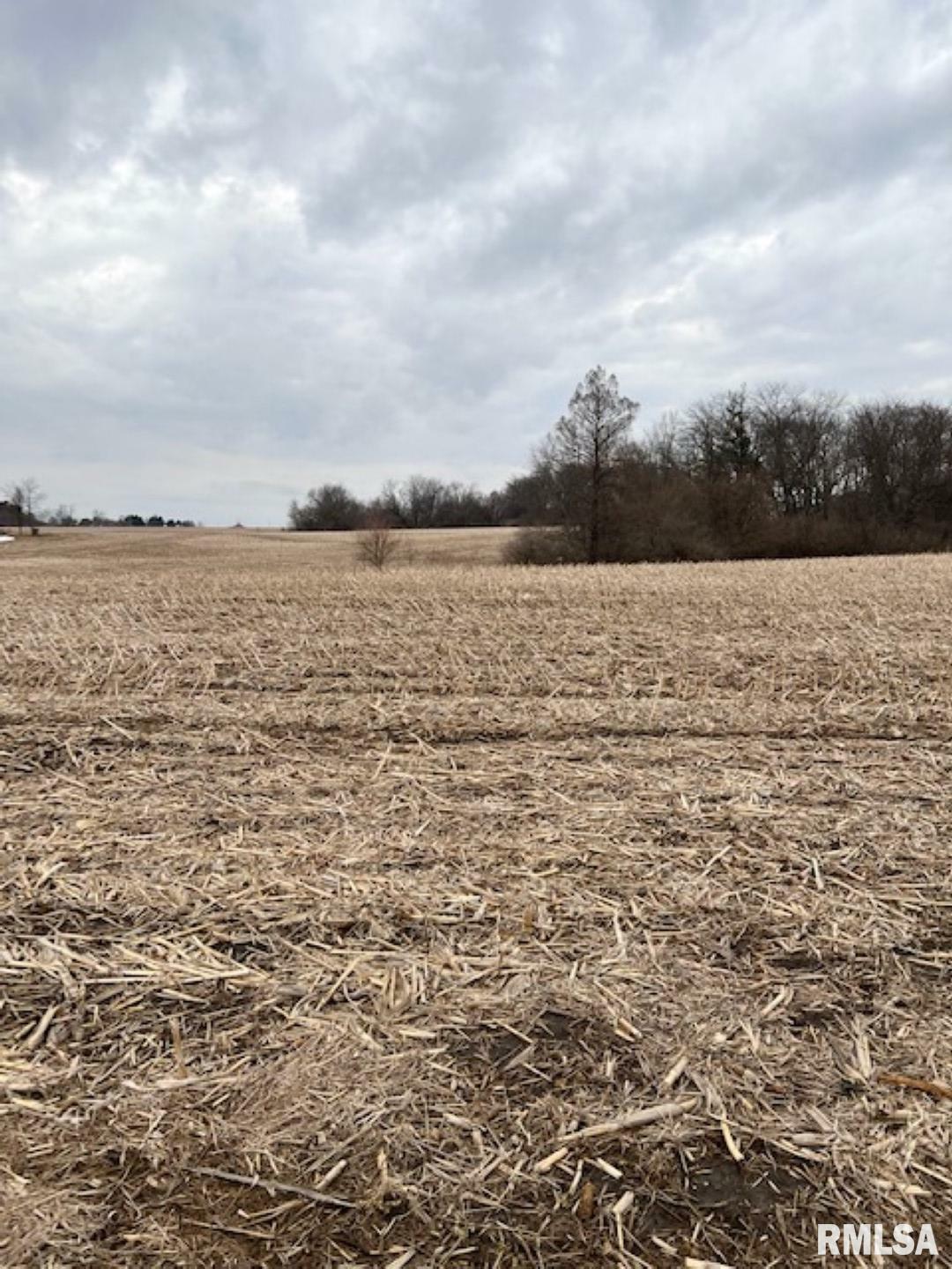 Property Photo:  0 County Road 800 N  IL 61530 