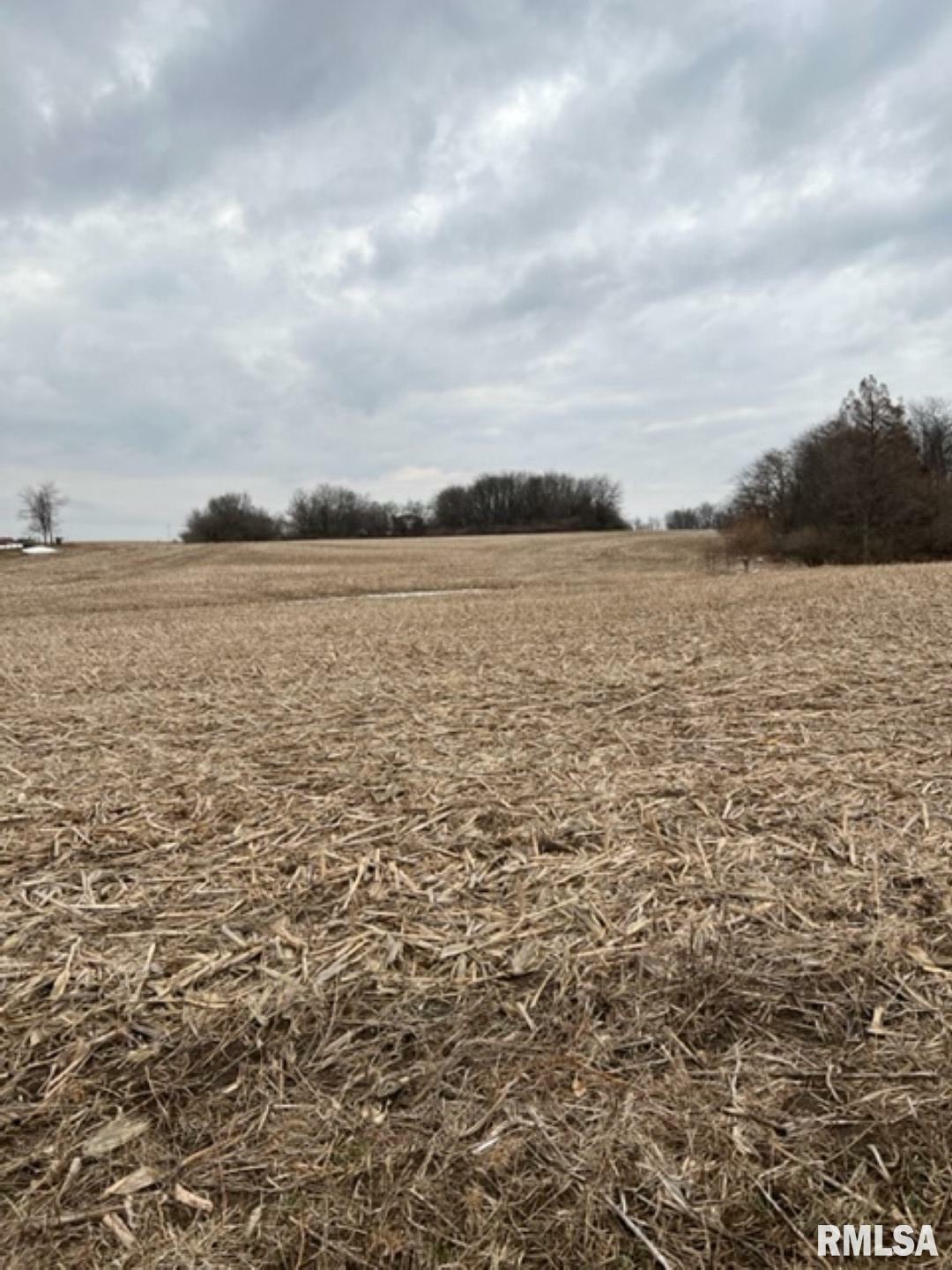 Property Photo:  0 County Road 800 N  IL 61530 