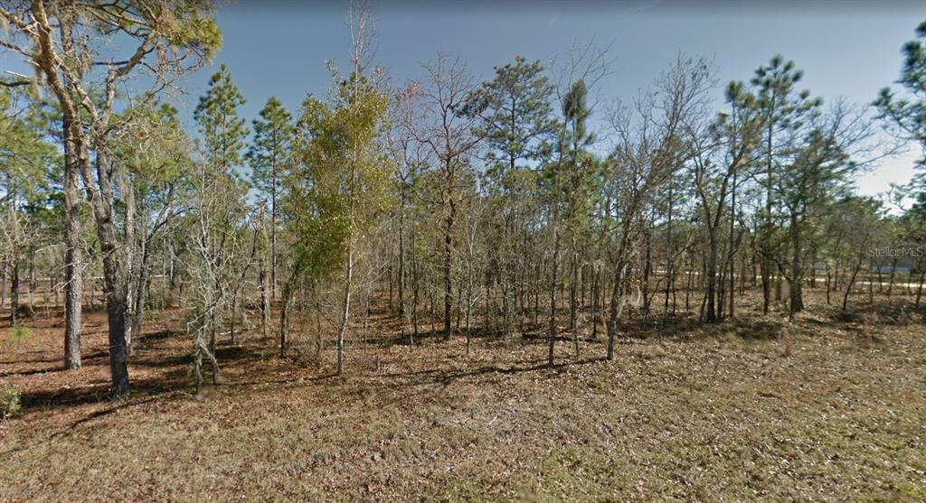 Property Photo:  Lot 12 NE 134th Ct And NE 2nd St  FL 32696 