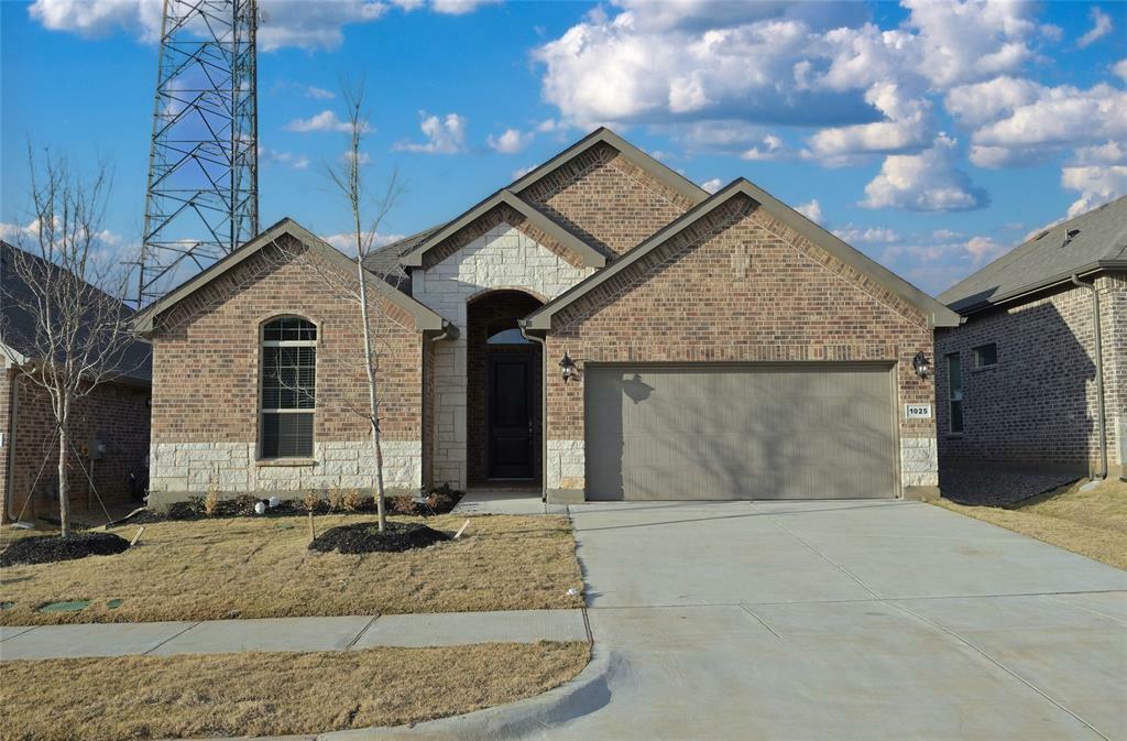 1025 Pitch Pine Street  Hickory Creek TX 75065 photo