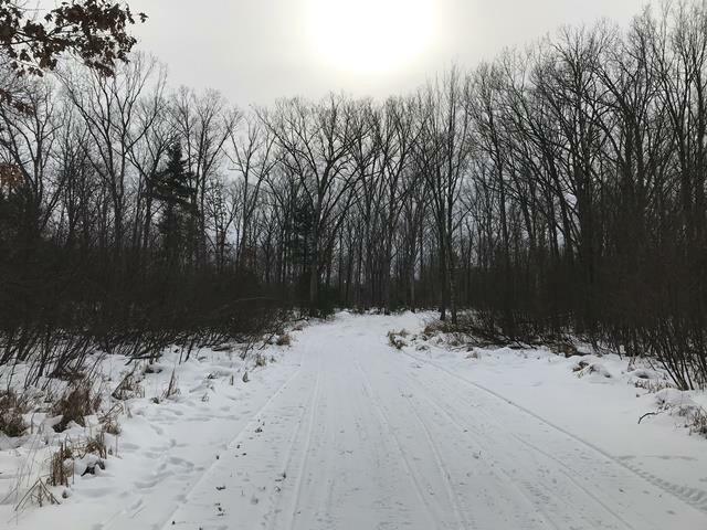 Property Photo:  Highway 73  WI 54436 