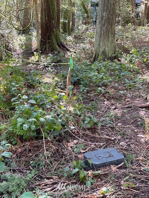 Property Photo: 149 E Nantucket Road WA 98584