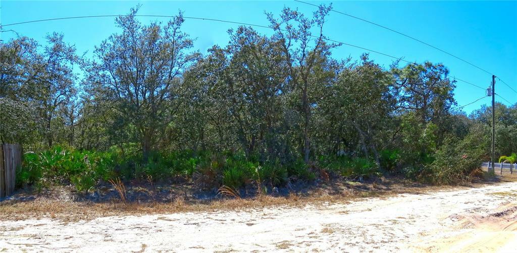 Property Photo:  Brandywine Trail  FL 33843 