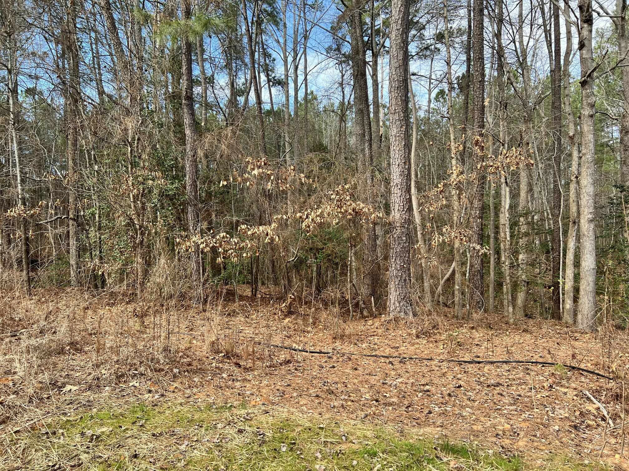 Property Photo:  9112 Old Cascade Drive  NC 27529 