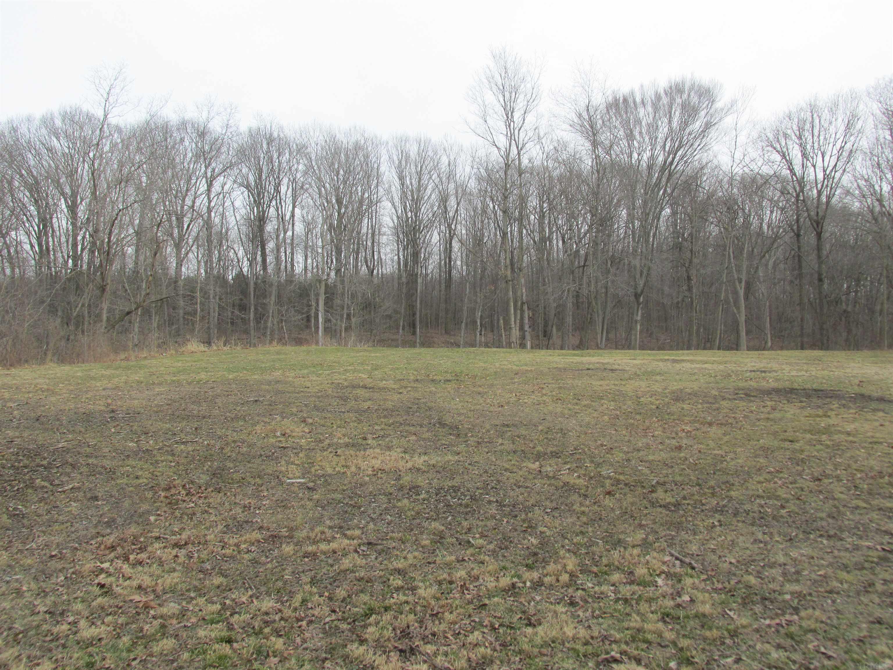 Property Photo: 15771 Mydra Road MI 49129