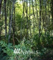 Property Photo: 0 Badger Lane WA 98584