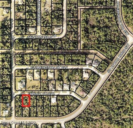 368 Farley Street  Palm Bay FL 32908 photo