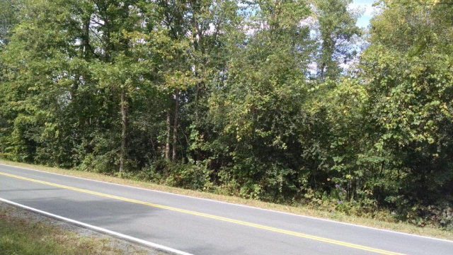 Property Photo: Lot 0 Lapham Mills Road NY 12972