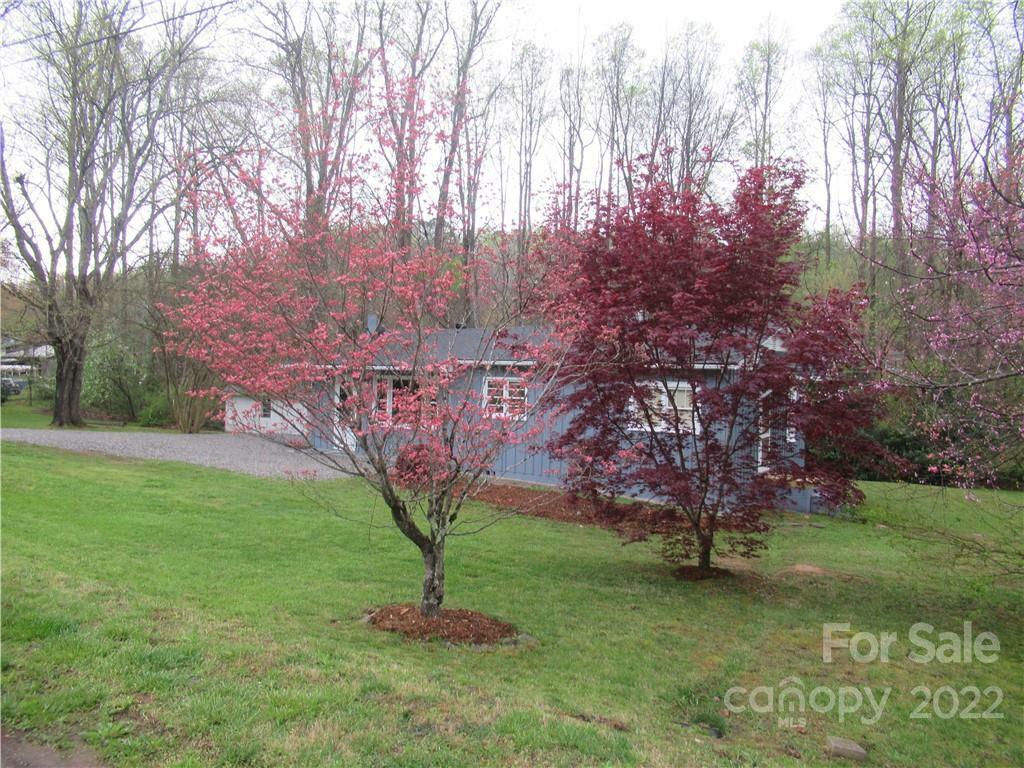 Property Photo:  269 Forsythe Street  NC 28752 