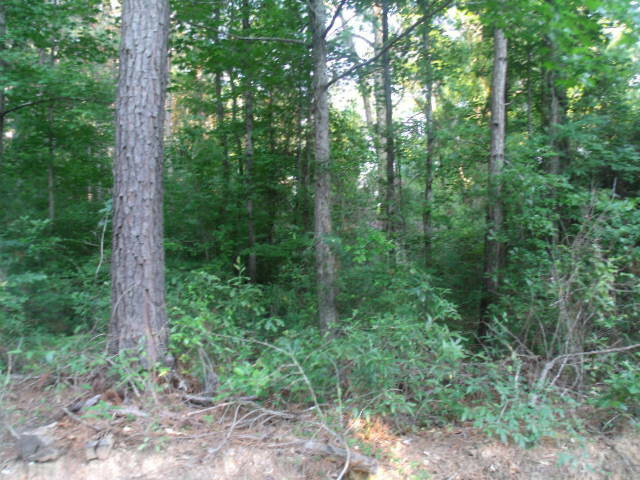 0 Oak Road  Thomson GA 30824 photo