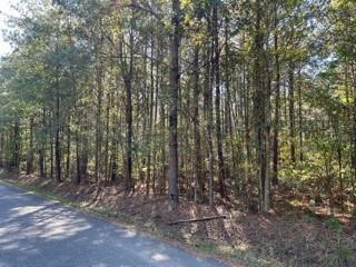 Lot 3 Big Lake Road  Pineville LA 71360 photo