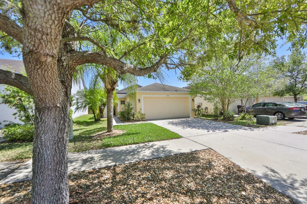 Property Photo:  806 College Chase Drive  FL 33570 